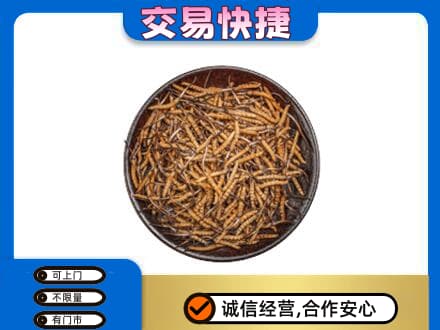 烟台市莱阳回收散虫草